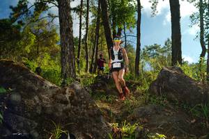 BIB: 
                            <button type="button" onclick="openModal(18933508)" class="btn btn-primary btn-sm float-right btn-popup" data-toggle="modal" data-target=".modal-high-quality">
                        <i class="fas fa-shopping-cart"></i> Add to Cart
                    </button>
                                            <button type="button" onclick="isThisMe(18933508, true)" class="btn btn-success btn-sm float-right btn-popup btn-isme hidden" data-toggle="tooltip" data-placement="bottom" title="นี่คือรูปของคุณใช่ไหม คลิกที่นี่เพื่อเอาเข้าอัลบั้ม">
                        <i class="fas fa-plus"></i> Add to album
                    </button>
                    <button type="button" onclick="isThisMe(18933508, false)" class="btn btn-warning btn-sm float-right btn-popup btn-isnotme hidden">
                        <i class="fas fa-ban"></i> Remove from album
                    </button>